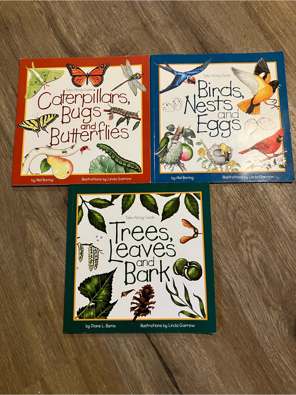 Kids Nature Book Set - Green, Blue & Orange Covers